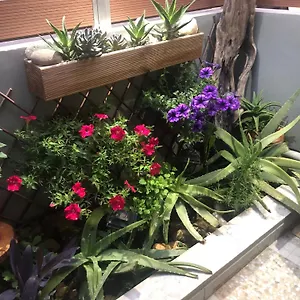 Διαμέρισμα Summer Mood Χανιά
